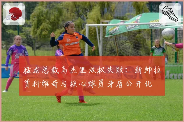 猛龙总裁乌杰里放权失败：新帅拉贾科维奇与核心球员矛盾公开化