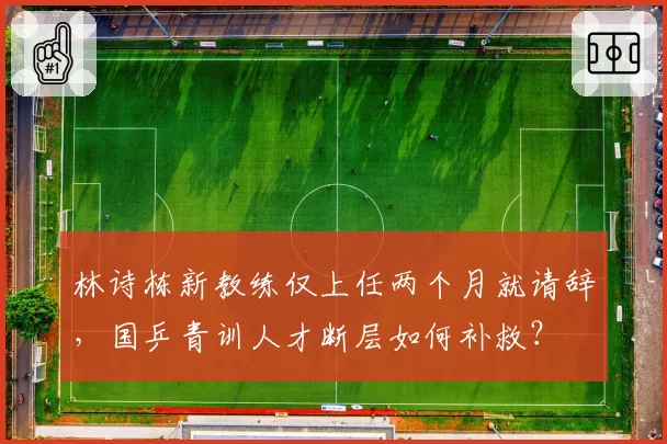 林诗栋新教练仅上任两个月就请辞，国乒青训人才断层如何补救？